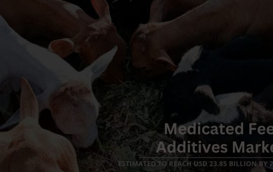 Medicated Feed Additives Market