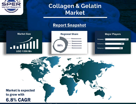 Collagen & Gelatin Market