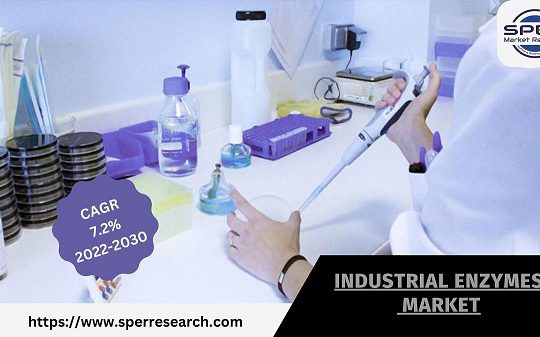 Industrial Enzymes Market