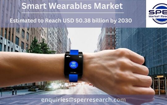 Smart Wearables Market