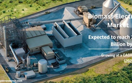 Biomass Electricity Market
