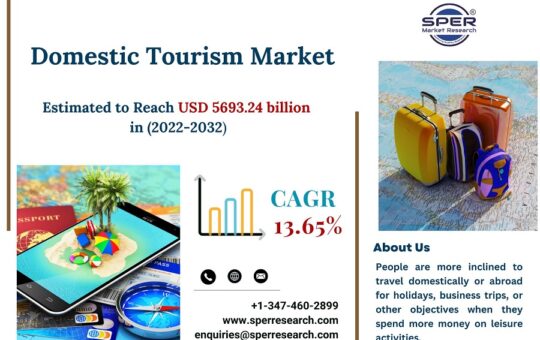 Domestic-Tourism-Market