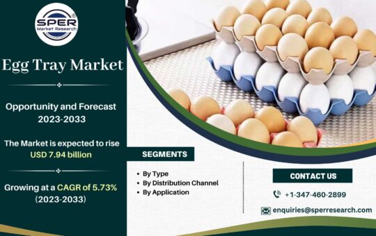 Egg Tray Market