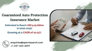 Guaranteed-Auto-Protection-Insurance-Market