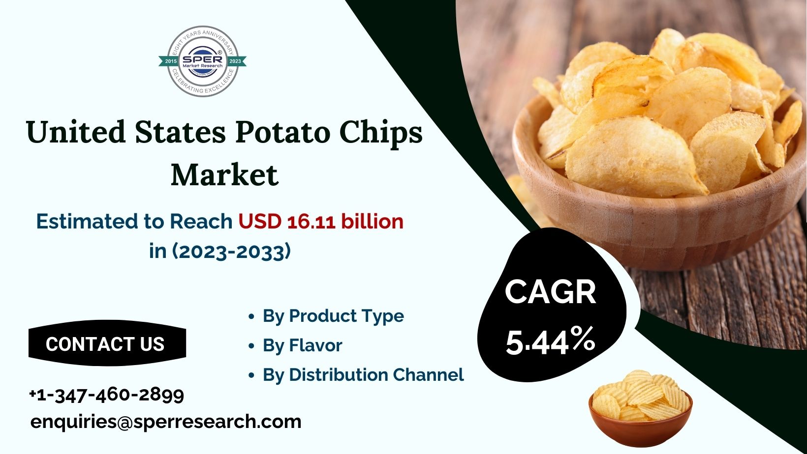 USA Potato Chips Market Revenue, Growth and Future Outlook