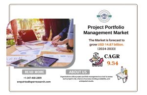 Project Portfolio Management Market