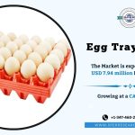 Egg Tray Market Growth, Size, Demand, Trends Analysis and Investment Opportunities 2033: SPER Market Research