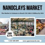 Nanoclays Market Share, Trends, Demand, Opportunities and Future Outlook 2034: SPER Market Research