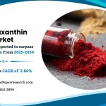 Canthaxanthin Market Share, Size, Challenges and Future Outlook 2034: SPER Market Research