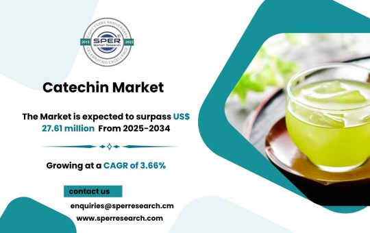 Catechin Market