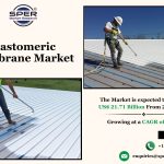 Elastomeric Membrane Market Demand, Trends and Future Opportunities 2034