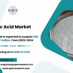 Malonic Acid Market Growth, Demand and Forecast 2034