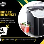Nugget Ice Machine Market Analysis, Demand, Share and Future Outlook 2034