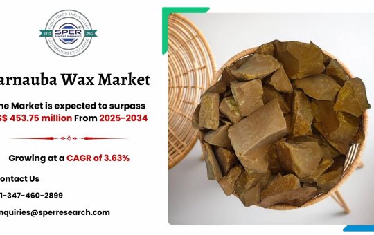 Carnauba Wax Market