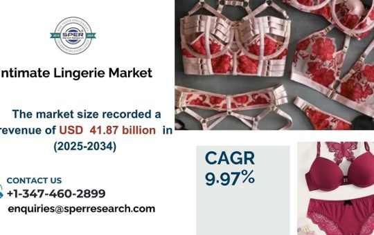 Intimate Lingerie Market