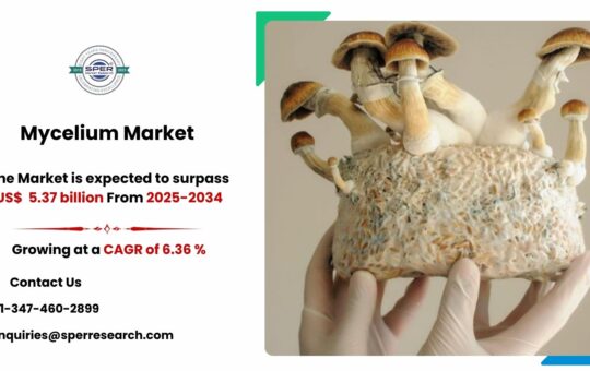 Mycelium Market