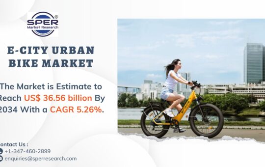 E-City Urban Bike Market