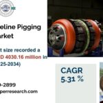 Europe Pipeline Pigging Market Growth, Trends, Share, Analysis and Segment 2034