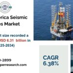 North America Seismic Services Market: Tech-Driven Growth & Forecast to 2033