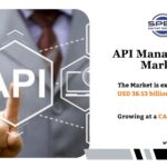 API Management Market Size, Industry Share Report 2034