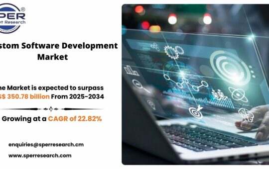 Custom Software Development Market