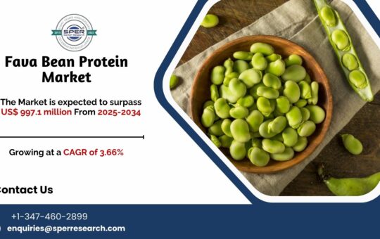 Fava Bean Protein Market