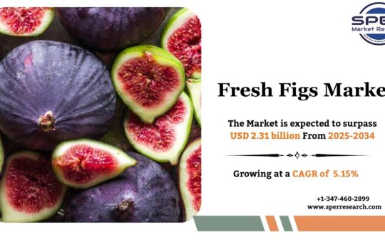 Fresh Figs Market