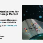 Polymer Membranes For Energy Storage Market Size