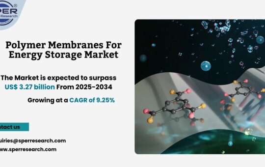 Polymer Membranes For Energy Storage Market
