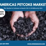 Americas Petcoke Market Share and Future Outlook 2034