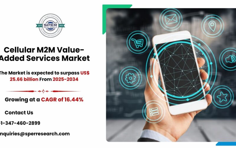 Cellular M2M Value-Added Services Market