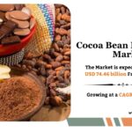 Cocoa Bean Derivatives Market Size, Share, Growth and Analysis