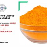 North America Cheese Powder Market Demand and Size Analysis