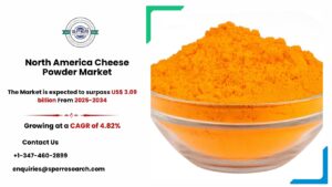 North America Cheese Powder Market