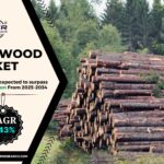 Pulpwood Market Trends, Size and Future Outlook 2034