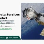 Satellite Data Services Market Size, Trends and forecast